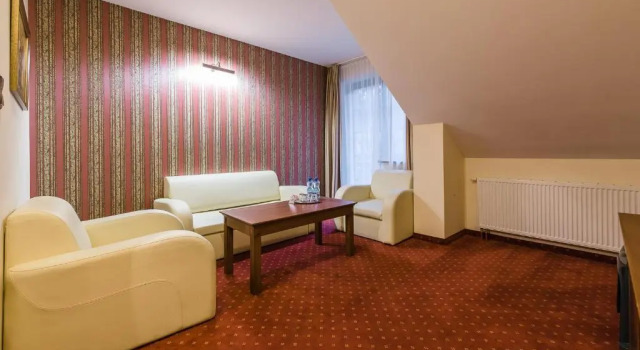 Студия Hotel Dziki Potok Karpacz