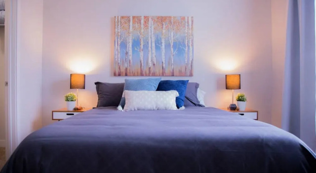 Adorable 1BR in Arts and Music District, Prenota Appartamento Indianapolis Indiana