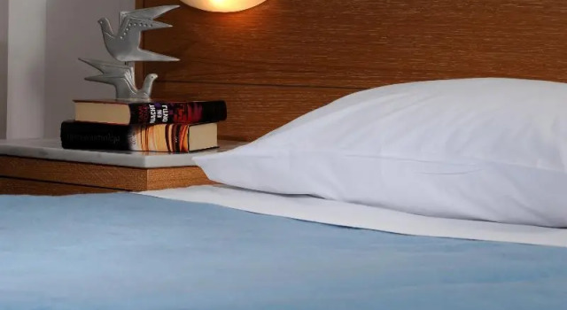 Номер Standard Hotel Delfinia