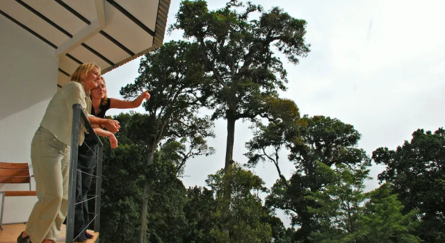 Бунгало Dantica Cloud Forest Lodge
