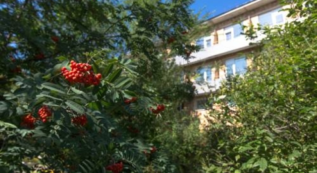 Hotel Tri Medvedya