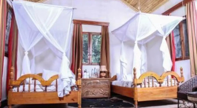 Коттедж Luxury Primate Lodge