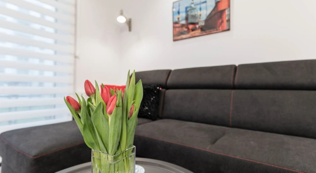 Apartamenty Angielska Grobla Q4Apartments, Забронировать Апартаменты/квартира Апартаменты Гданьска, рядом с Кран «Журавль» над рекой Мотлава, недорого, Апартаменты/квартира