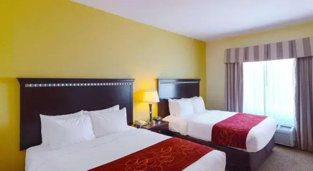 Номер Standard Comfort Suites University