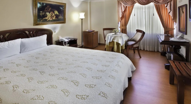 Номер Superior Hotel Fernando Plaza