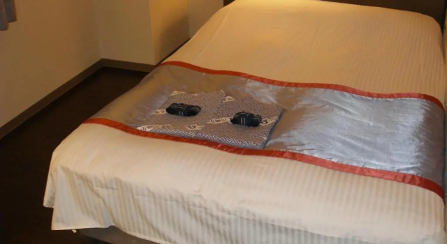 Двухместный номер South Wing Kawasaki River Hotel