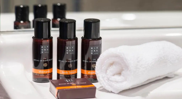 Двухместный номер Deluxe Hotel ReeHorst