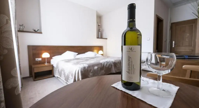 Двухместный номер Standard Hotel Mario