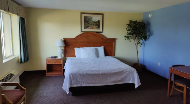 Люкс c 1 комнатой Stockton Inn