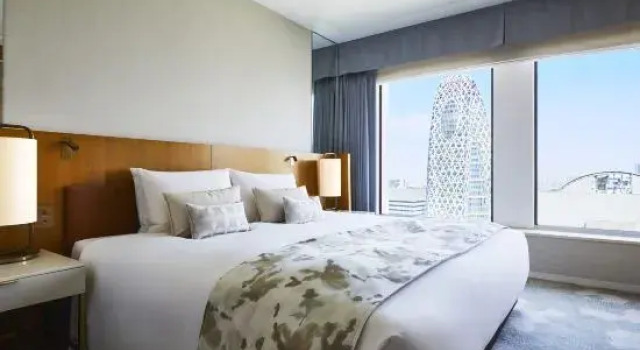 Номер Superior Keio Plaza Hotel Tokyo Premier Grand