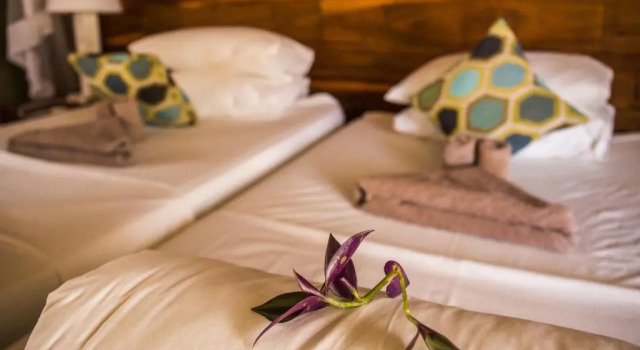 Standard Twin room Namushasha River Lodge