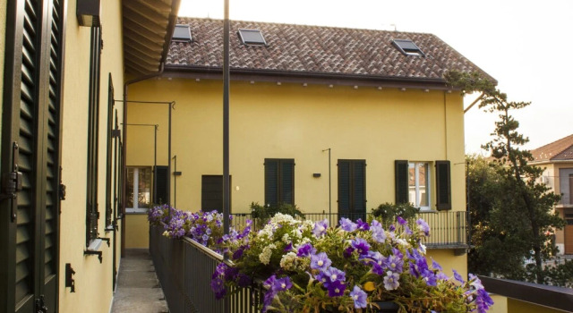 La Corte del Gallo