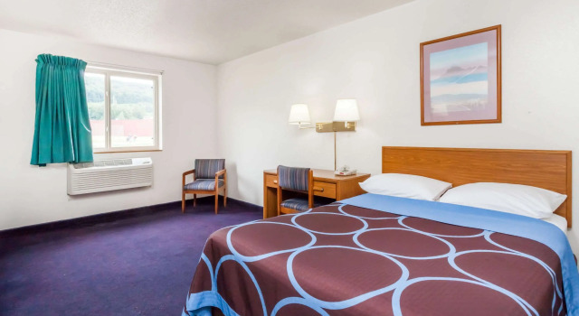Super 8 by Wyndham Sidney NY, Varaa Mini-hotelli Sidney USA