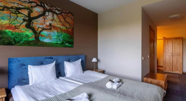 Двухместный номер Standard Comfort Hotel Kuldiga