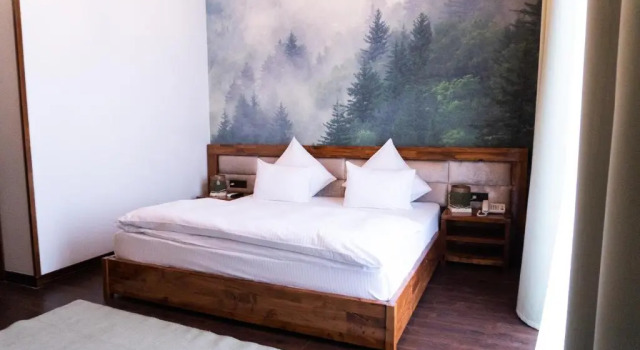 Standard Zimmer mit Poolblick Al'pen Park