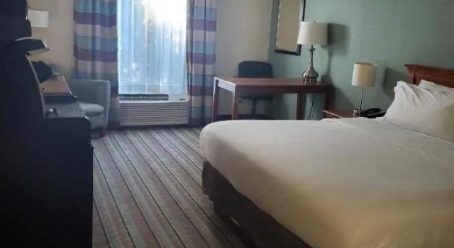 Одноместный номер Standard White Pine Lodge