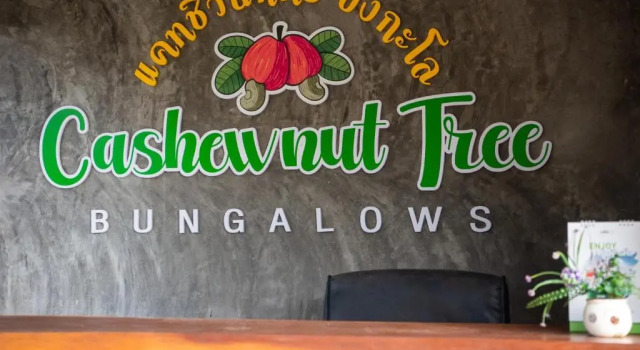 Двухместный номер Standard Cashewnut Tree Resort