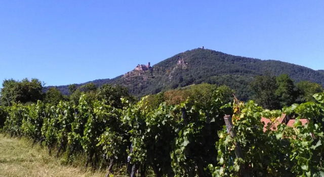 Коттедж Gites & Camping on the Route des Vins