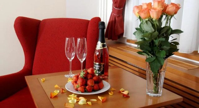 Трёхместный номер Standard Hotel Slovan