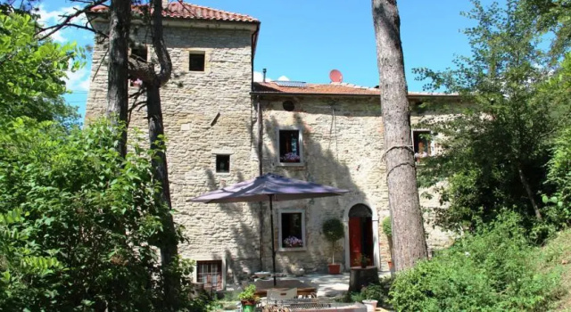 B&B Cornelis