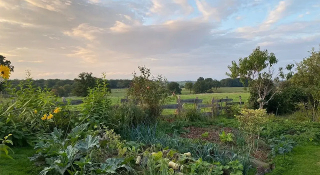 La Lisière du Morvan, Boek Hotel Hotels in Franche-Comte met ontbijt, Ontbijt