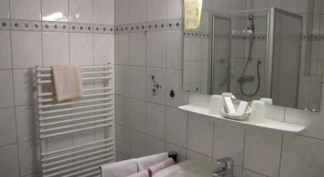Двухместный номер Standard Hotel Harzer am Kurpark
