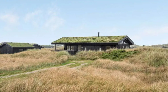 "Eri" - 300m from the sea in NW Jutland