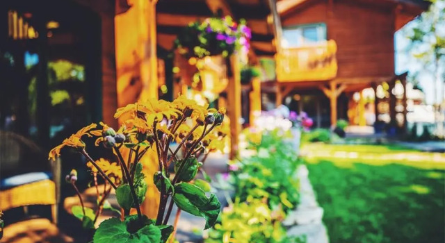 Номер Standard The Alpine House