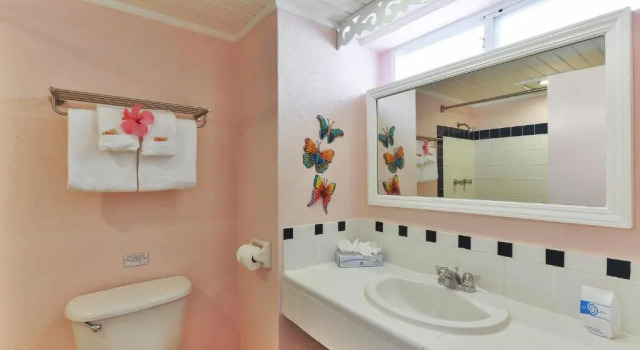 Апартаменты Butterfly Beach Hotel