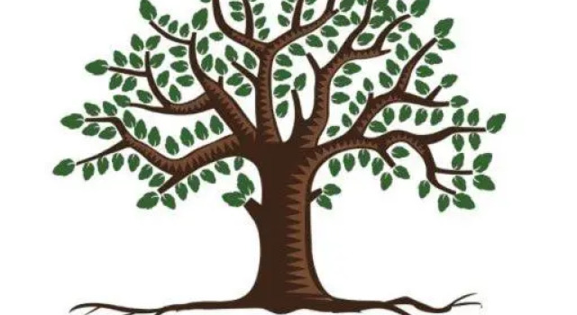 Номер Economy Peepal Tree Residency