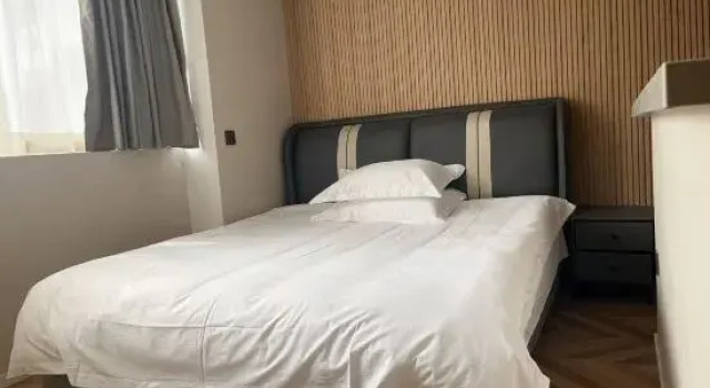 Люкс Deluxe Xinao Serviced Apartment(Shanghai Stadium, Xuhui Riyouguang Center Store)