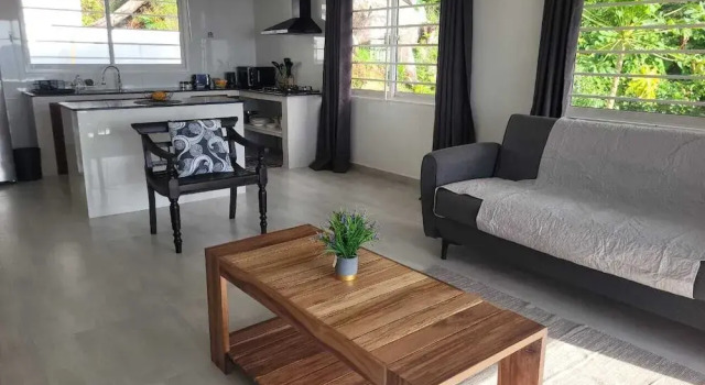 Апартаменты Deluxe Wild Vanilla Apartment
