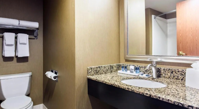 Номер Standard Delta Hotels by Marriott Fargo
