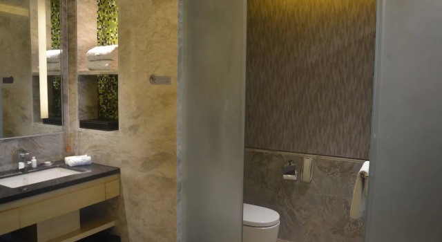 Люкс Business Grand Skylight International Hotel Guiyang