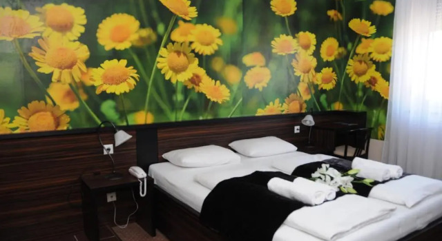 Двухместный номер Green Hotel Budapest
