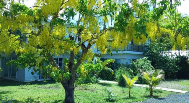 Monolocale Cap Heureux Villas