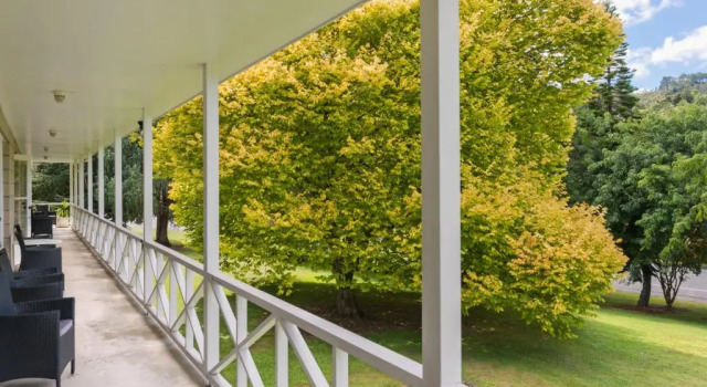 Студия Executive Discovery Settlers Hotel