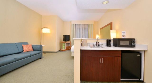 Четырёхместная студия Springhill Suites By Marriott Pinehurst Southern Pines