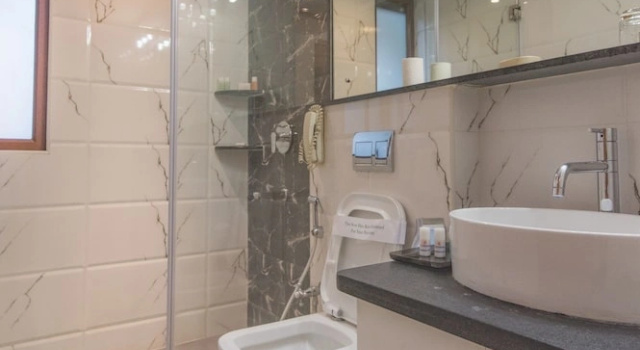 Номер Standard Sai Vishram Business Hotel