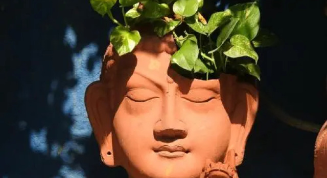 The Coral Tree Homestay
