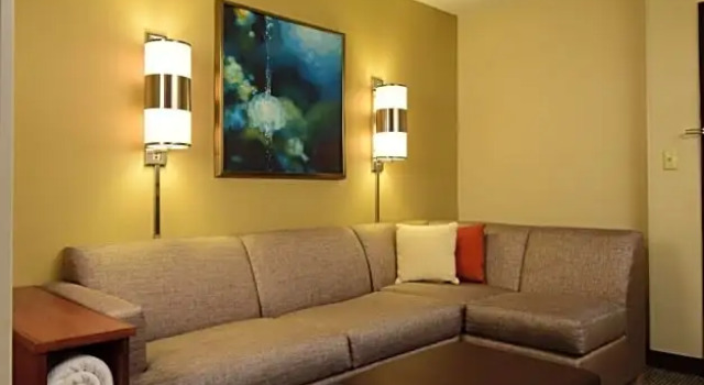 Номер High Floor Hyatt Place Dallas Las Colinas