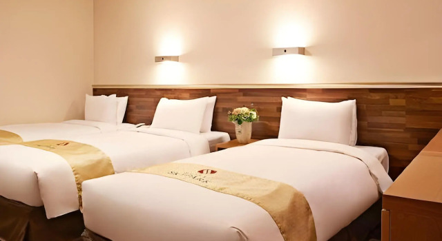 Hotel Skypark Myeongdong I