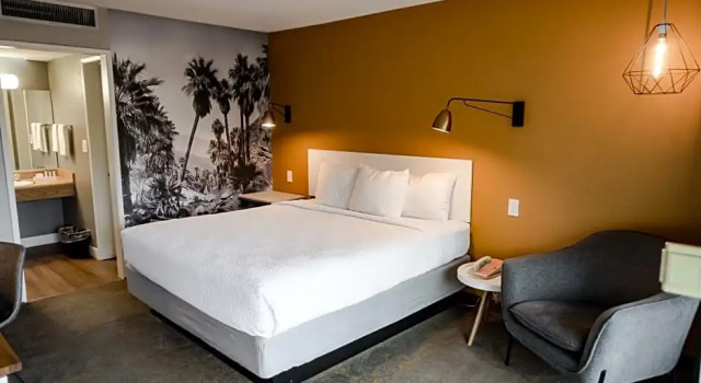 Двухместный номер Standard Vagabond Inn Palm Springs