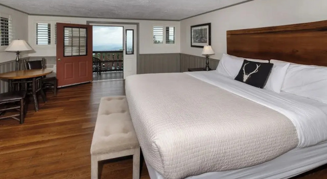 Одноместный номер Deluxe с видом на горы Switzerland Inn