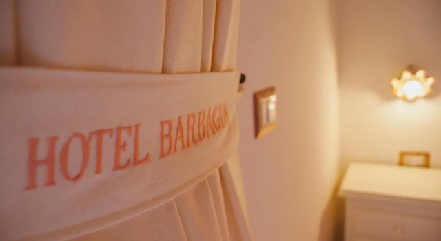 Одноместный номер Standard Hotel Barbagia