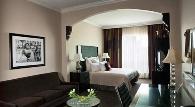 Двухместный номер Superior Hotel ZaZa Dallas