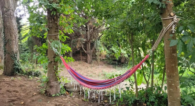Вилла с 3 комнатами Casas do Capitão - Paiva Valley - Pool and Nature