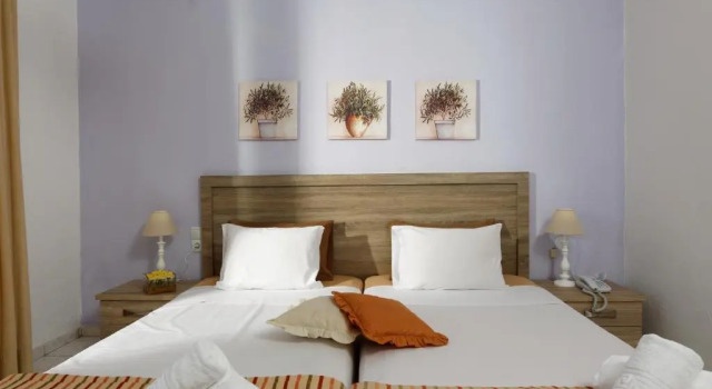 Двухместный номер Standard Zorbas Beach Hotel