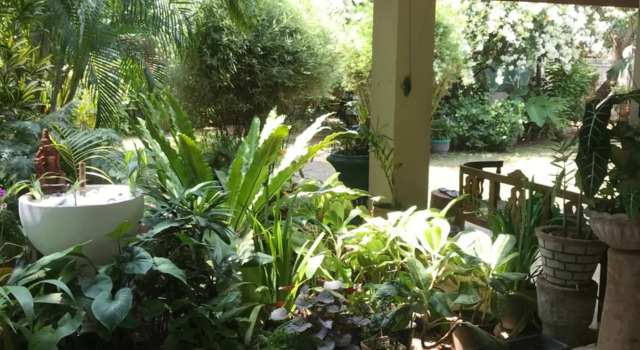 Tangalle Green House