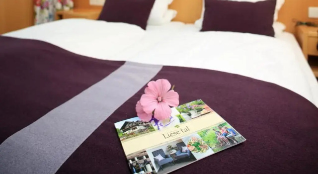 Номер Standard Landidyll Landhotel Liesetal
